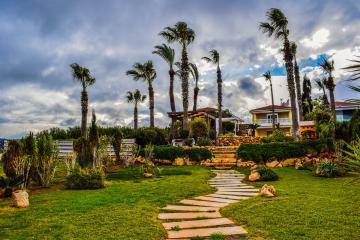 Features of landscaping in Cyprus