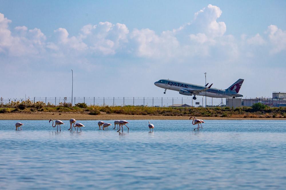 Cyprus Tourism 2025: Record Numbers and What It Means for Real Estate