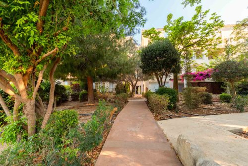 3 Bedroom Apartment in Universal, Paphos | p77200 | marketplaces
