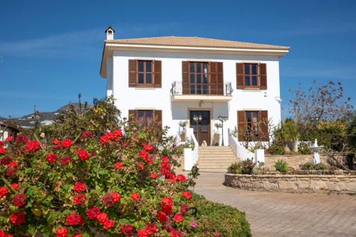 4 Bedroom Villa in Pafos, Tala